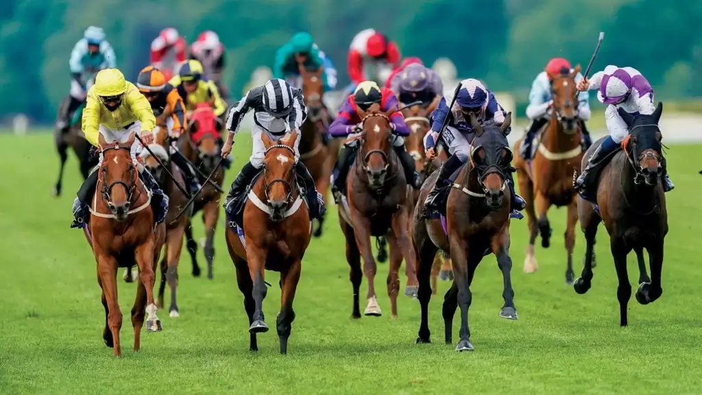 Famous horses and jockeys at the Cheltenham Festival
