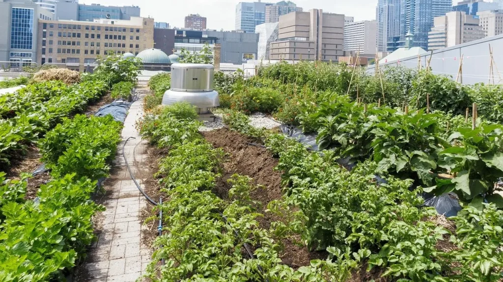 Resources for Learning More about Urban Permaculture