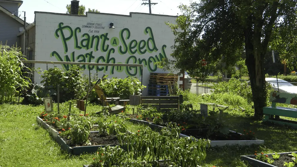 Urban Permaculture and Community Engagement