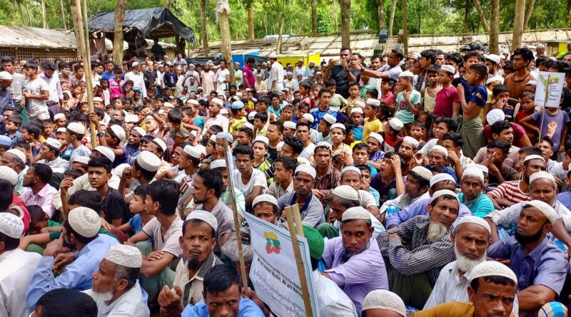 rohingya