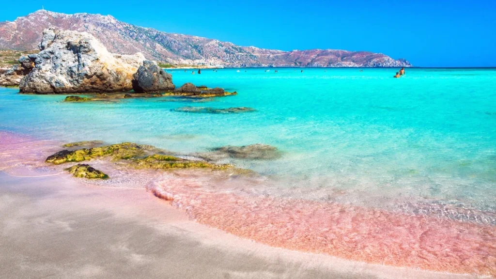 Activities to Enjoy at Pink Beach