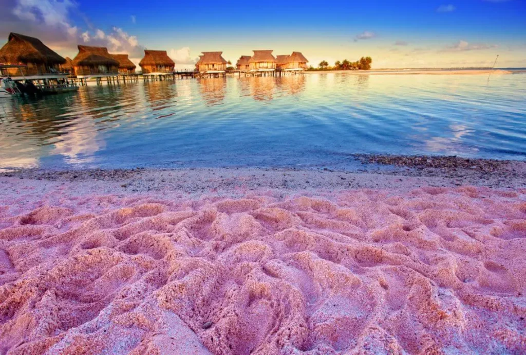 Ecological Wonders at Pink Beach