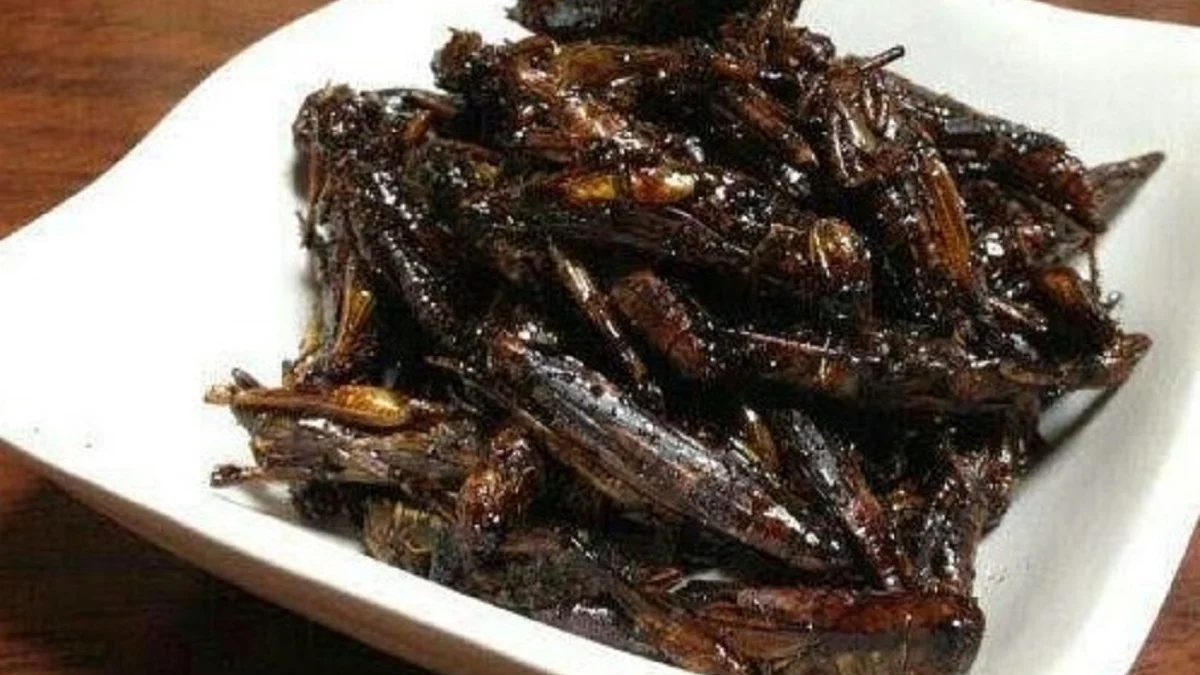 Potensi Belalang Goreng dalam Industri Kuliner Modern