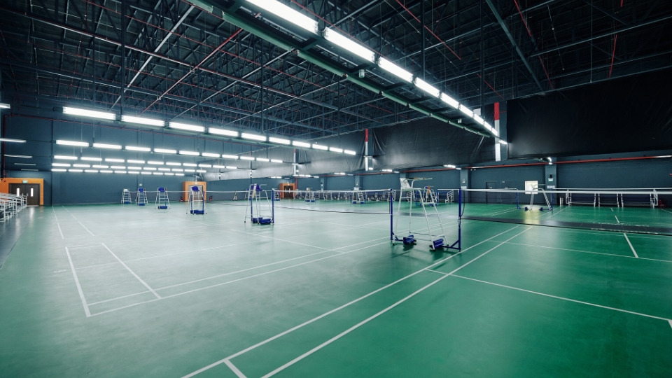 The Rise of Badminton in the Olympics