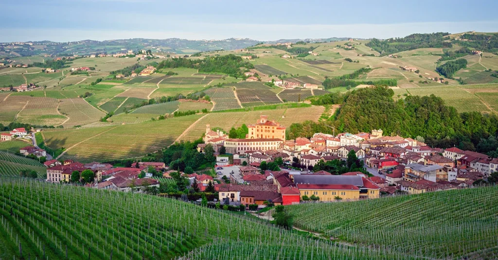 Barolo The King of Italian Reds