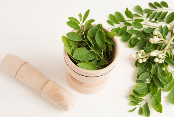 Kegunaan Daun