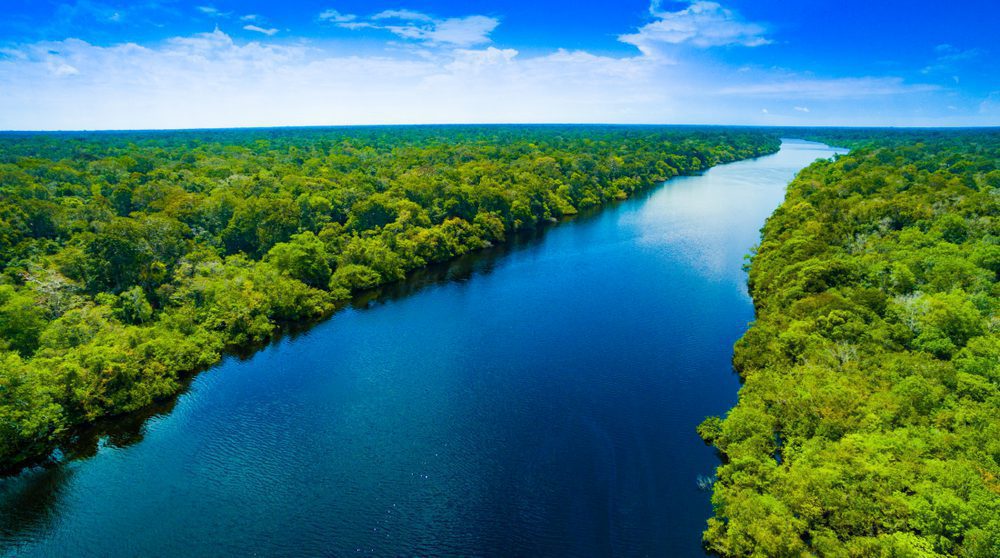 Indigenous community canoeing on the Amazon River. 