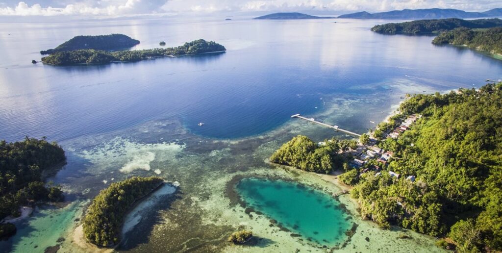 Dinding Friwen di Raja Ampat, surga bawah laut dengan terumbu karang yang mempesona dan kehidupan laut yang beragam