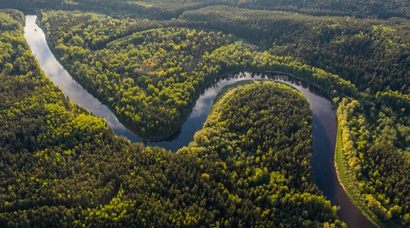Aerial view of the Amazon River winding through lush rainforest.