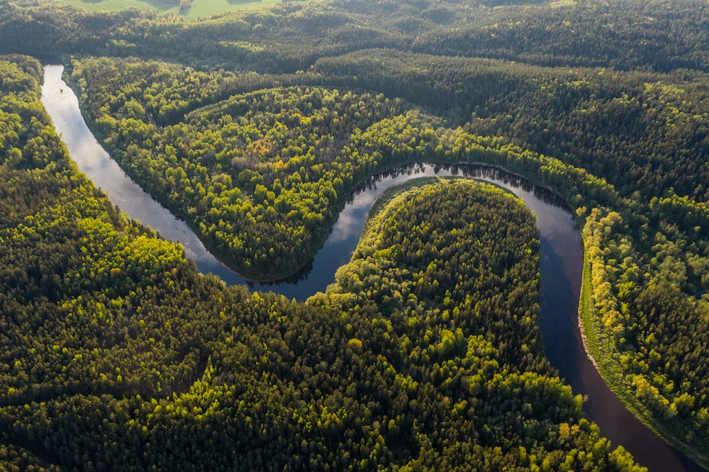 Aerial view of the Amazon River winding through lush rainforest.