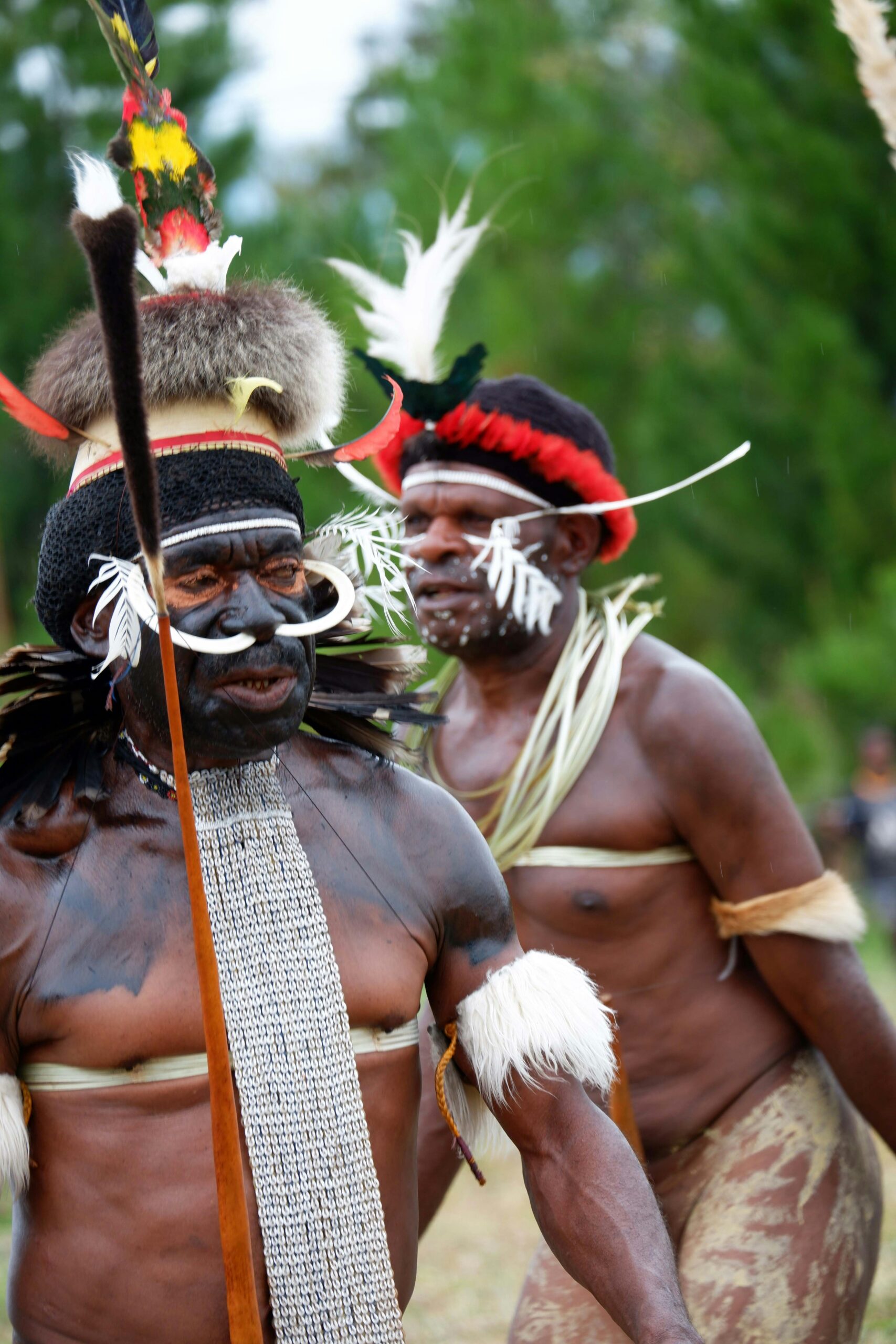 Tradisi Unik Papua