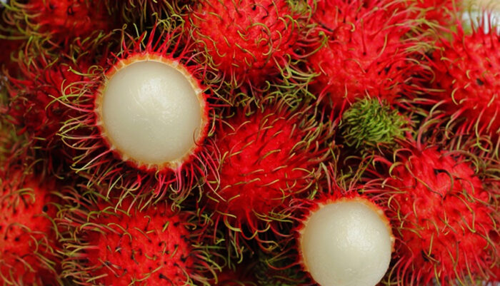 Asal-usul dan Distribusi Nephelium lappaceum