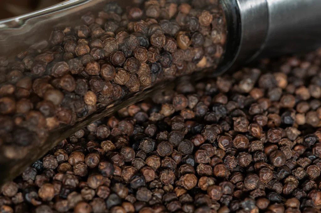Black Pepper Discover the World’s Most Popular Spice and Its Culinary Magic