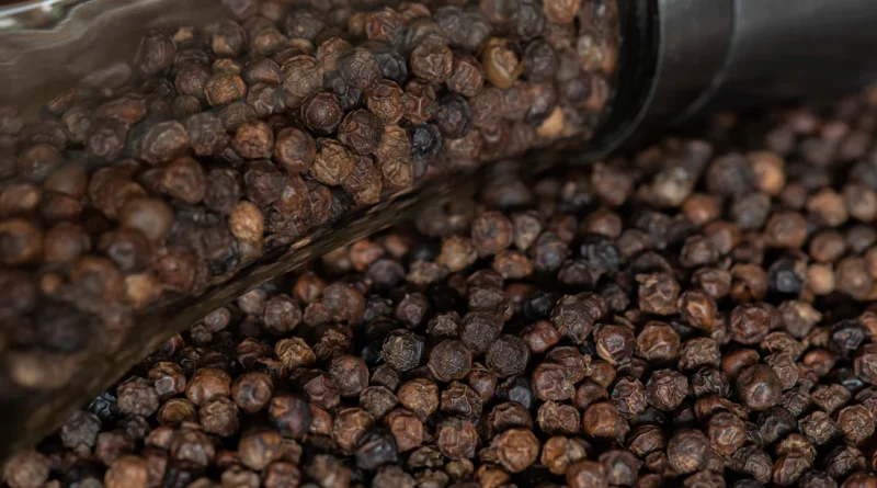 Black Pepper Discover the World’s Most Popular Spice and Its Culinary Magic