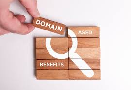 The Ultimate Guide to Acquiring Aged Domains for Your Brand in Every Scenario
