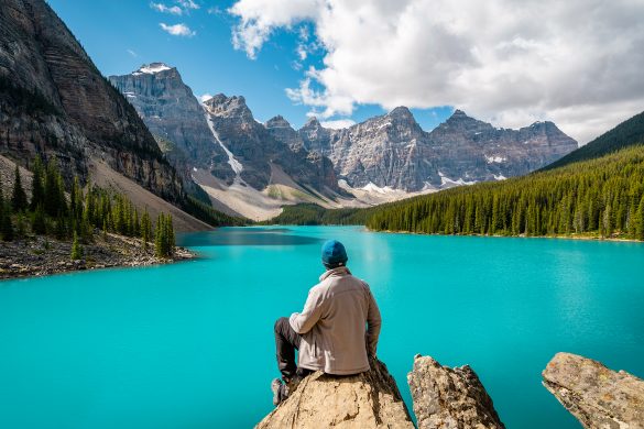 Wildlife spotting in Banff National Park with elk grazing 