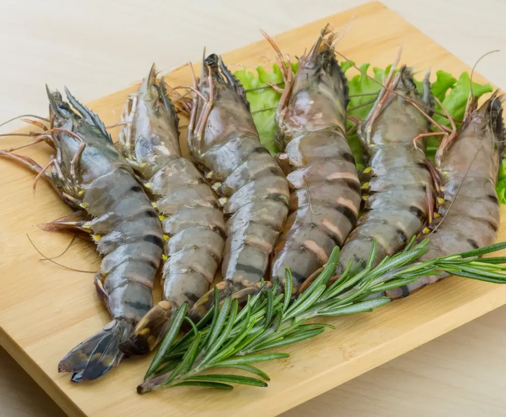 Udang Windu