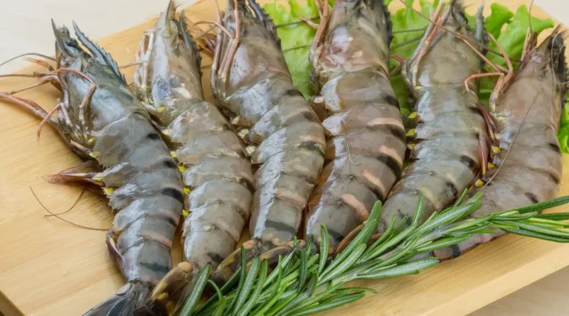 Udang Windu