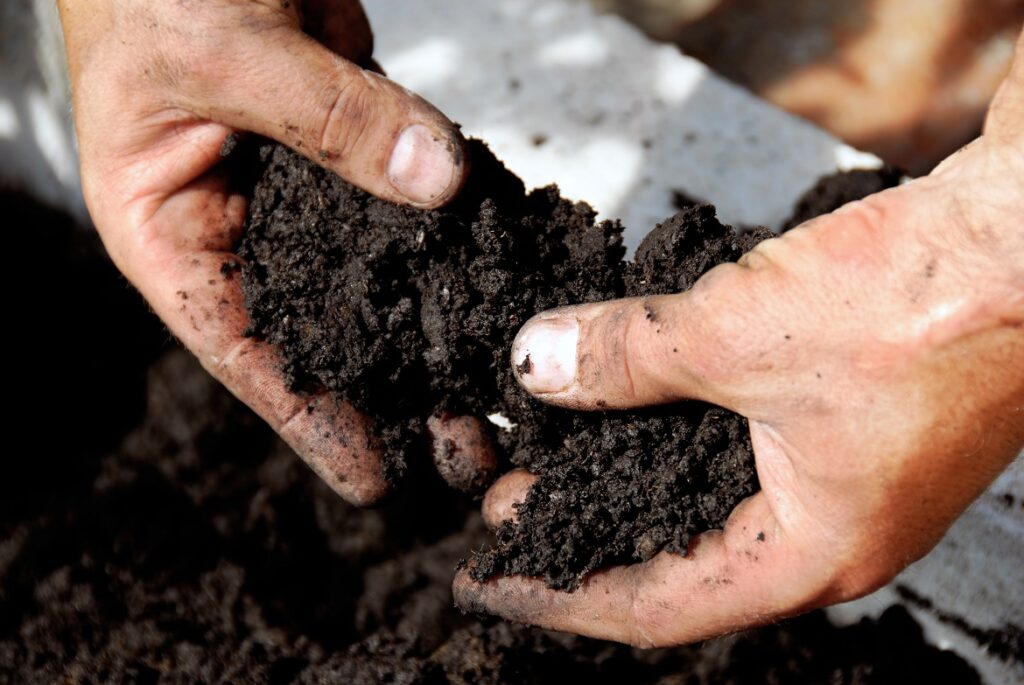 Soil Fertility
