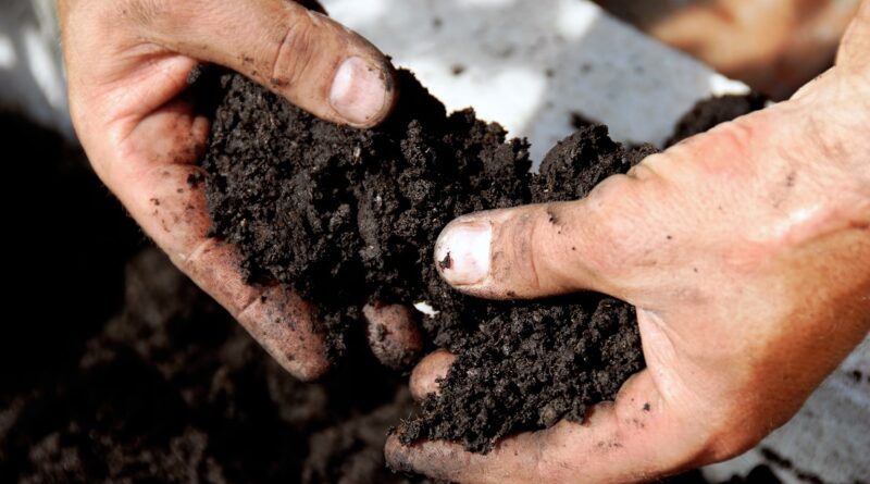 Soil Fertility