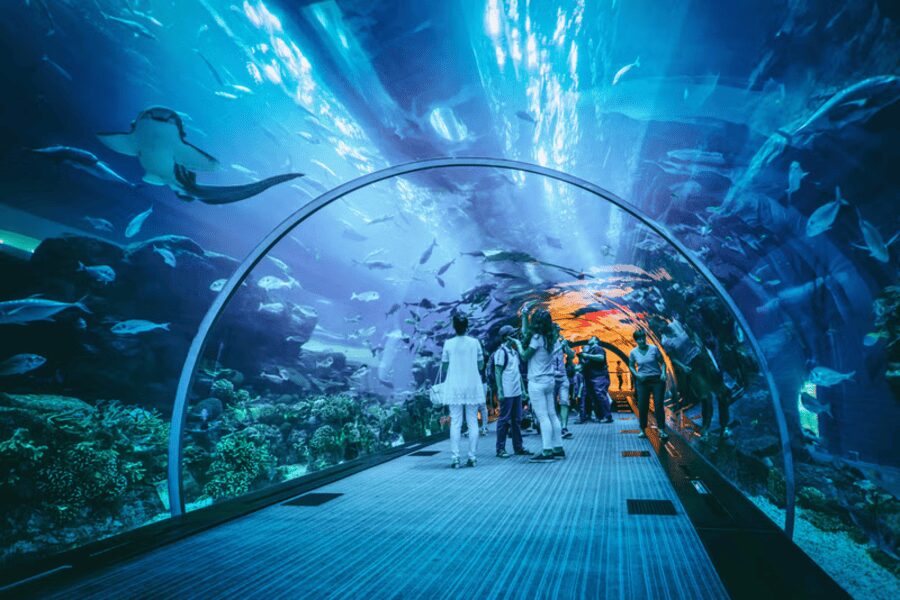 foto Aesthetic di Aquaria KLCC