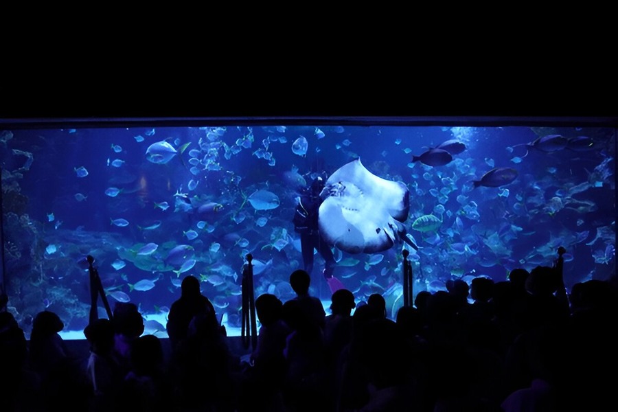 keindahan Aquaria KLCC