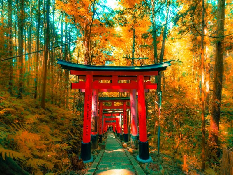 Kuil Fushimi Inari