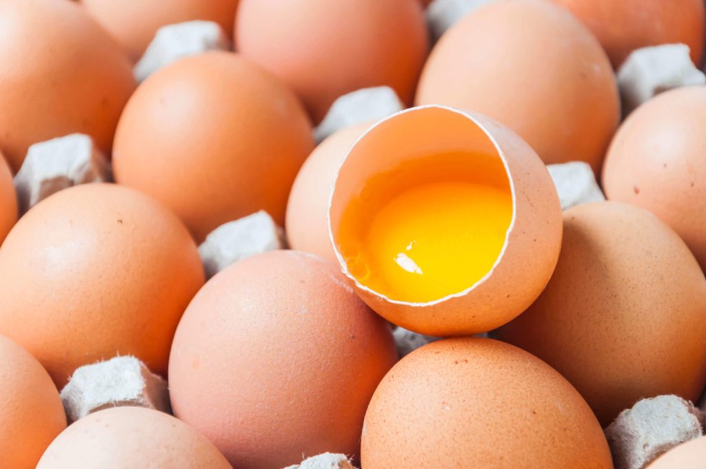 Apa Itu Telur Omega-3