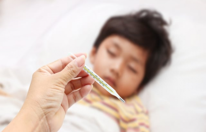Demam Tifoid