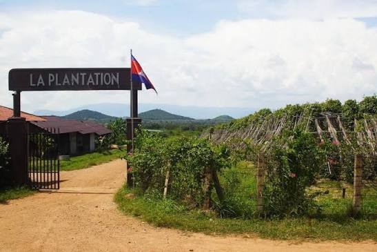 La Plantation