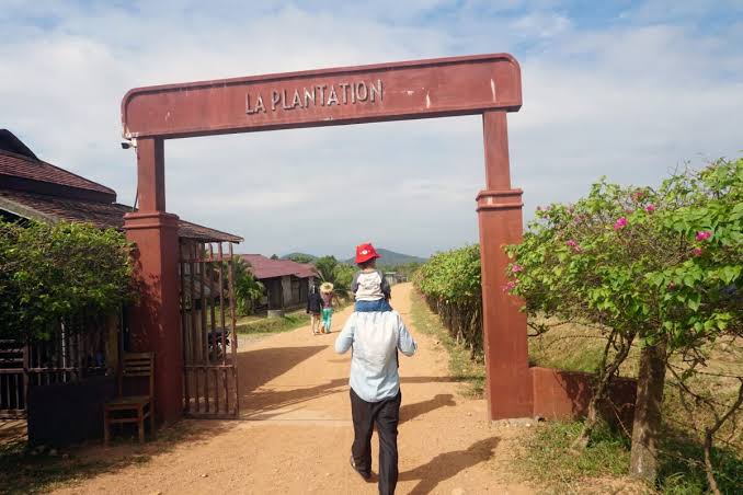 La Plantation